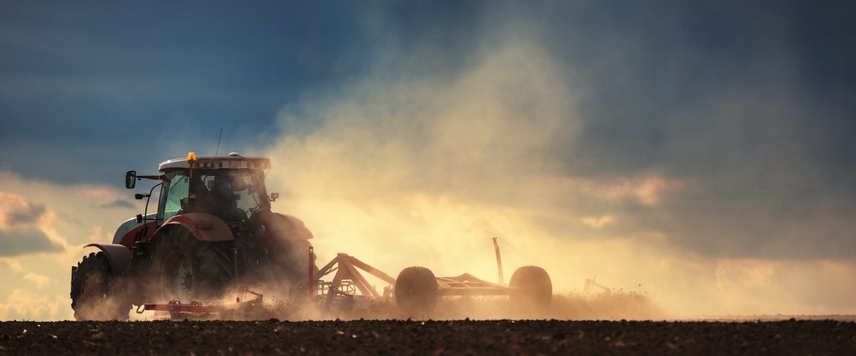Gesso agrícola sendo aplicado em uma lavoura