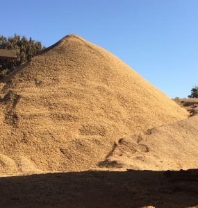 Casca de café em monte