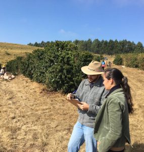 Gestão de campo