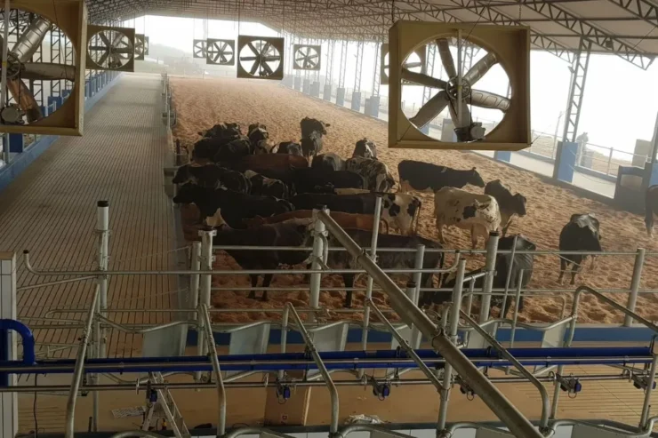 Galpão em uma fazenda de leite