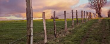 Cerca de arame farpado em uma fazenda