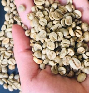 Grãos de café com defeitos