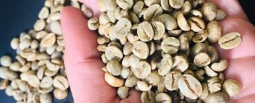 Grãos de café com defeitos