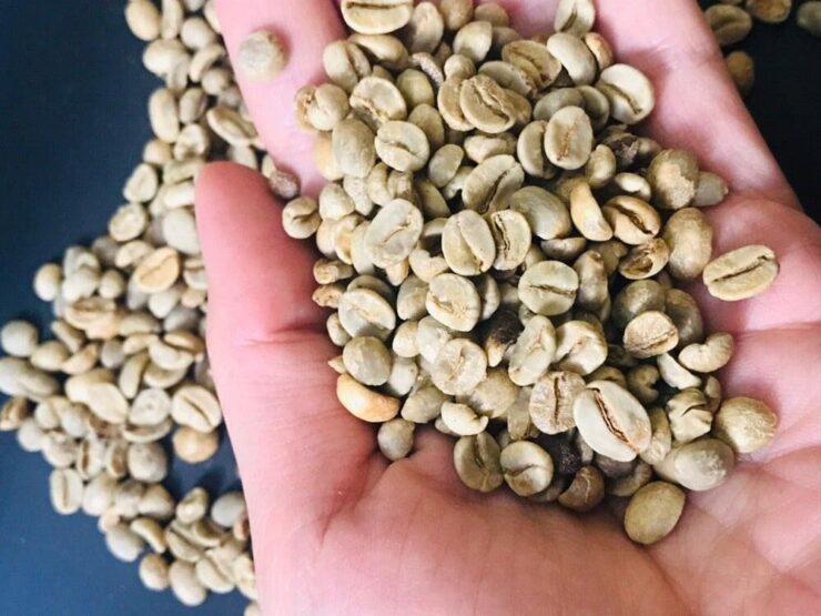 Grãos de café com defeitos
