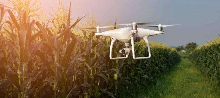 Drone realizando monitoramento em lavoura