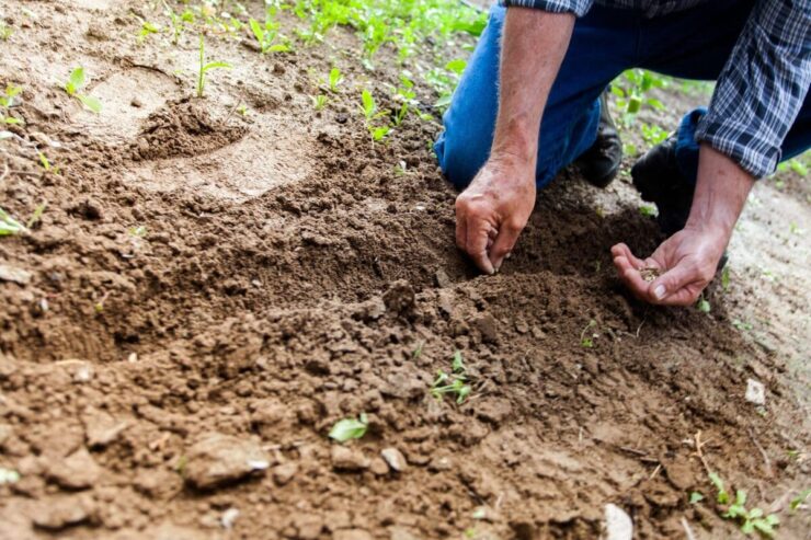 Homem realizando coleta de material do solo