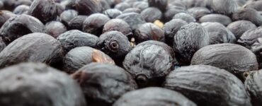 Frutos de café no pós colheita