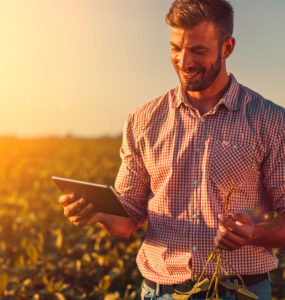 Marketing digital no agronegócio