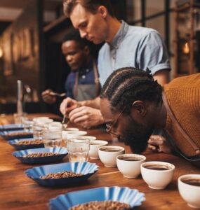 Classificação sensorial do café sendo feita