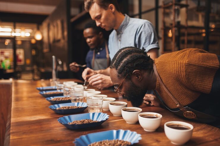 Classificação sensorial do café sendo feita