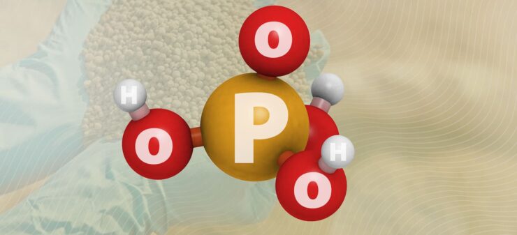 Fórmula molecular do fósforo