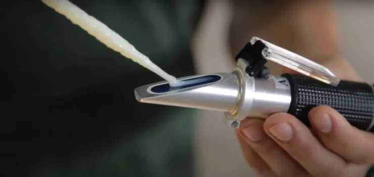 Teste para avaliar a qualidade do colostro