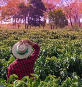 Produtor rural segurando o chapéu
