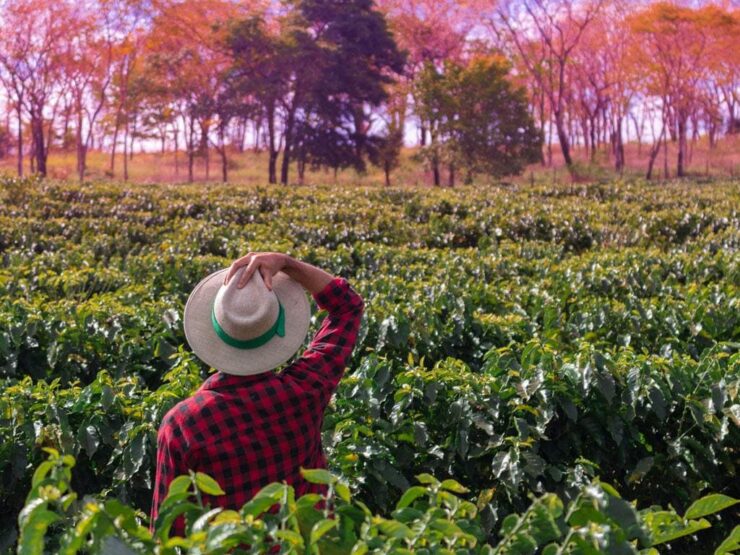 Produtor rural segurando o chapéu