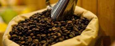 Grãos de café especial em um saco