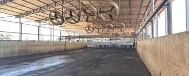 Sala de espera de ordenha