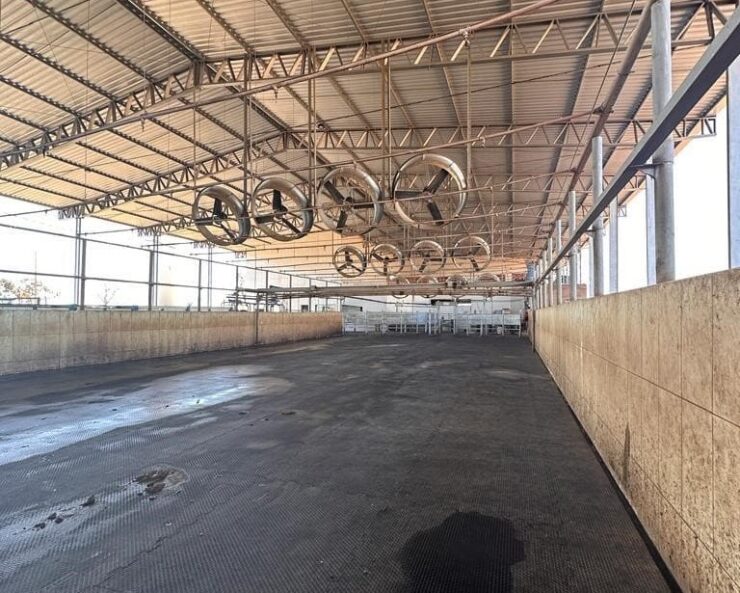 Sala de espera de ordenha