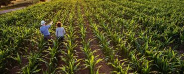 Sustentabilidade no agronegócio