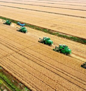 Commodities agrícolas - Lavoura de soja