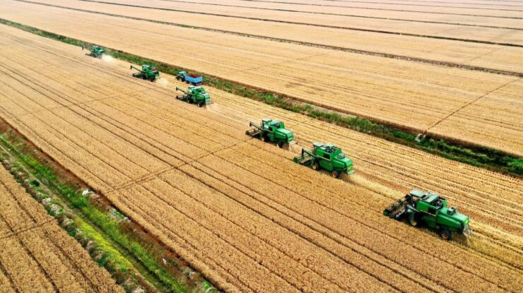 Commodities agrícolas - Lavoura de soja