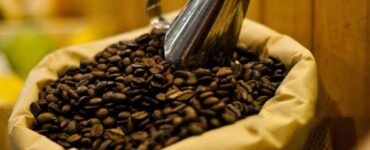 Grãos de café torrados após passar por toda cadeia do café