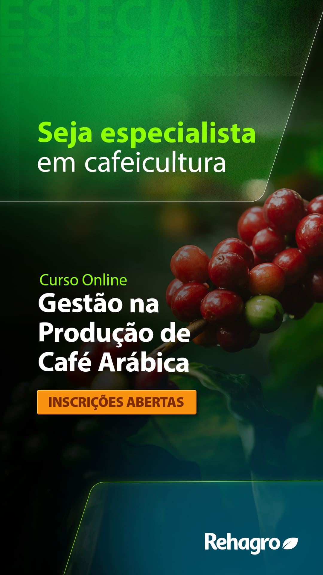 Curso Gestão na Produção de Café Arábica