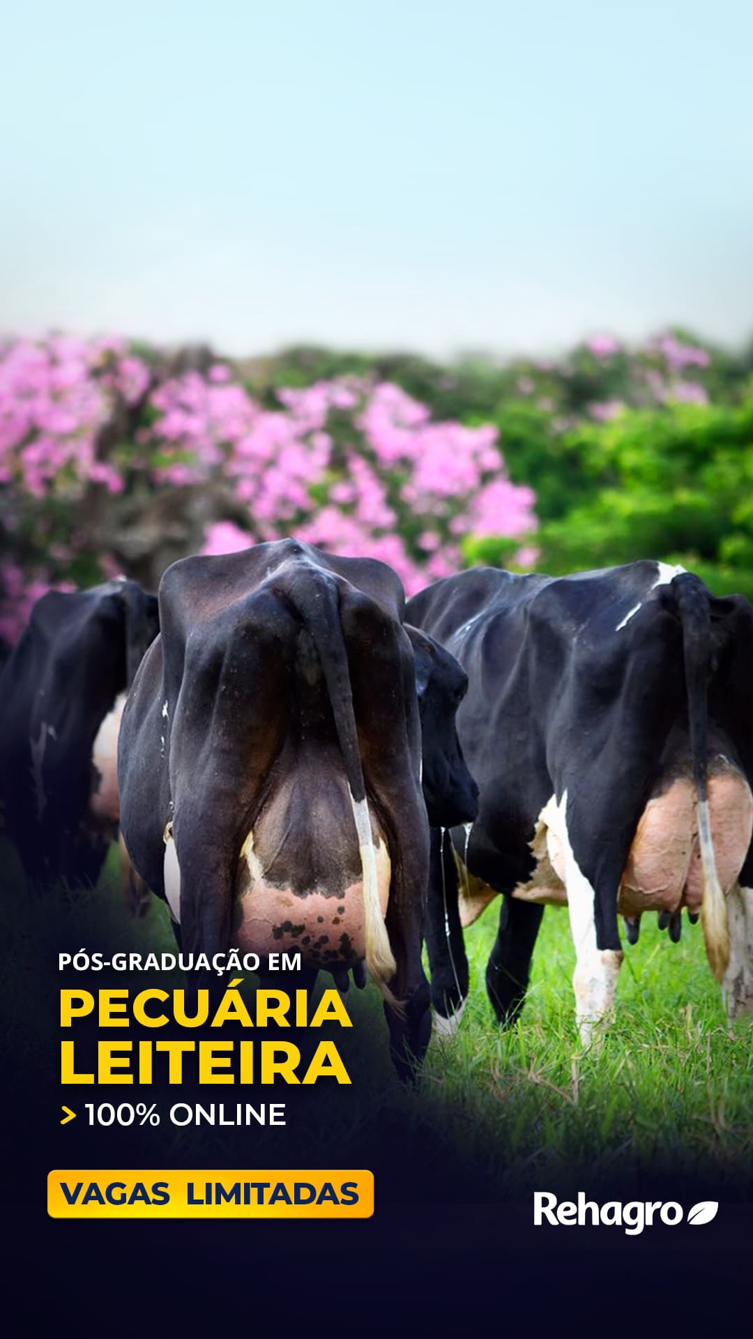 Banner Pós-graduação em Pecuária Leiteira