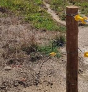 Cerca elétrica na pecuária de corte