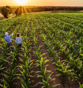 Duas pessoas do agronegócio em uma lavoura