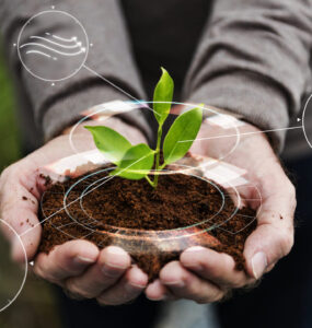 Agricultura circular e sustentabilidade