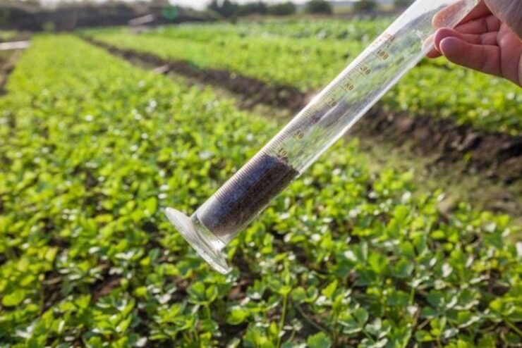 Diagnóstico do solo para um bom planejamento de safra