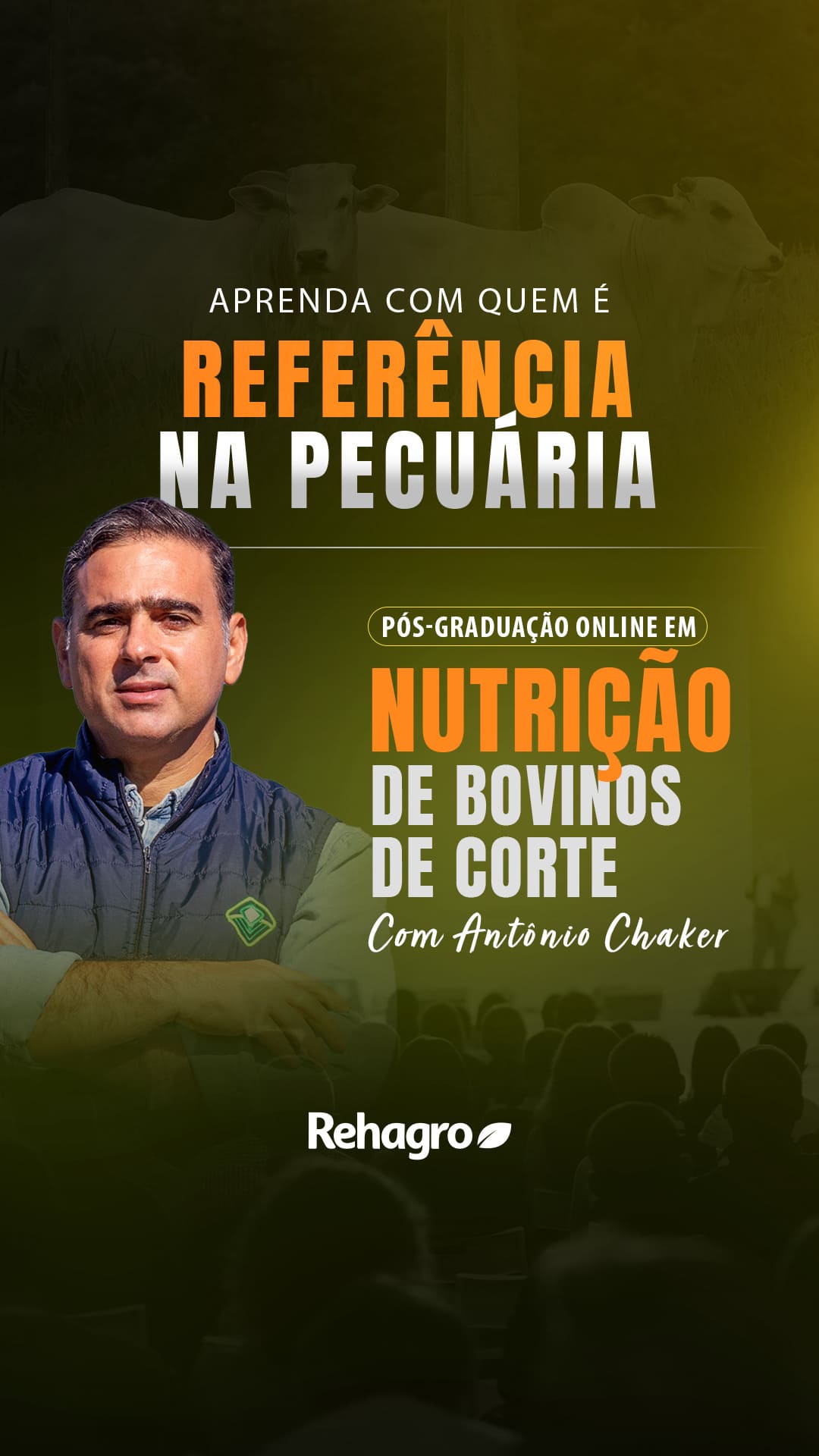 Banner Pós-graduação em Nutrição de Bovinos de Corte