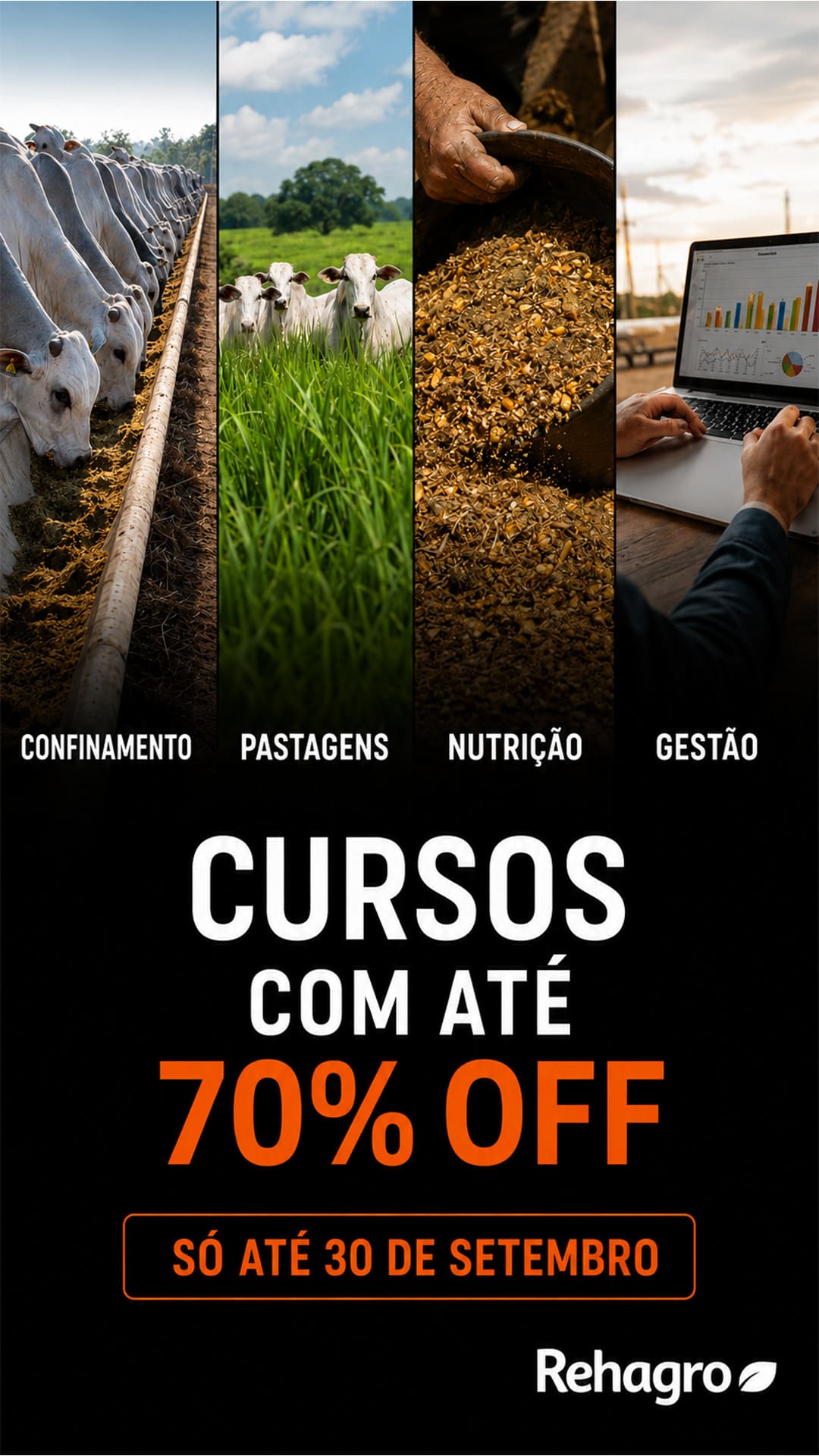 Mês do Corte 2026 Rehagro