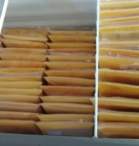 Colostro bovino armazenado em um freezer