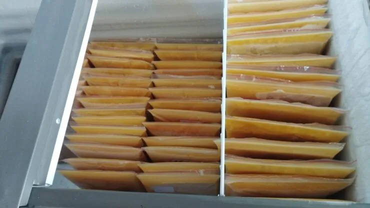 Colostro bovino armazenado em um freezer