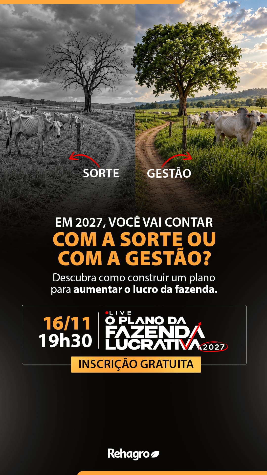Banner Live O Plano da Fazenda Lucrativa